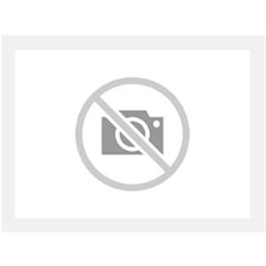1SL0264A00 PLATINA MET TAM6