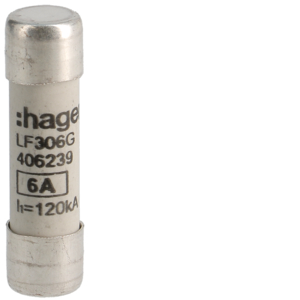 LF306G FUS 10X38 GG 6A 500V