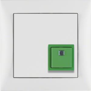 52019909 S.1 - BOT. CANCELAMEN