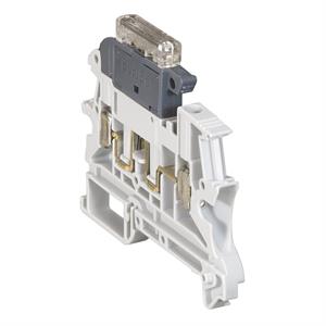 037525 INDICADOR FUSAO 110-250V