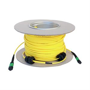 032453 LCS3 MTP-MTP MIC OS1/OS2 - 30M