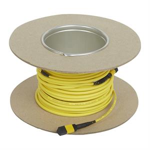 032454 LCS3 MTP-MTP MIC OS1/OS2 - 40M