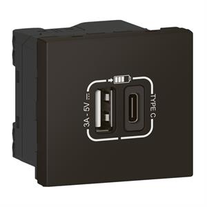 079193L MOSAIC 2 X USB (A+C) LINK PRET