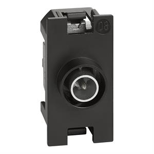 K4202D LNOW TV SIMPLES ESTRELA 1MD