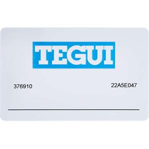 376910 TEGUI-PORTA CHAVE COD KIT RFID