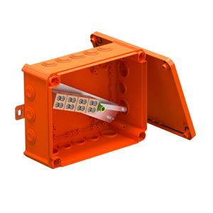 7205750 FIREBOX T250ED 16-2 LJ