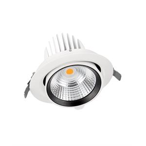 SPOT VARIO 170 35 W 4000 K 24DEG WT