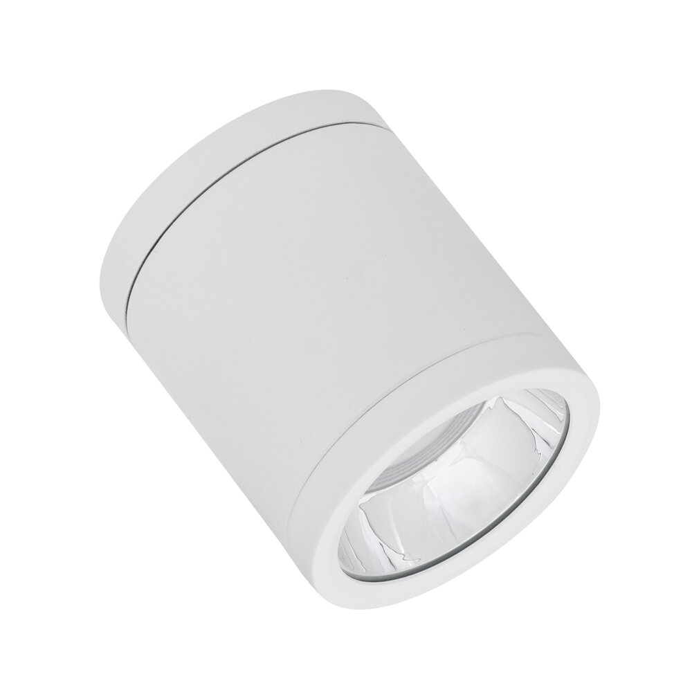 DOWNLIGHT SURFACE IP65 DN 90 P 15W 830 60D WT
