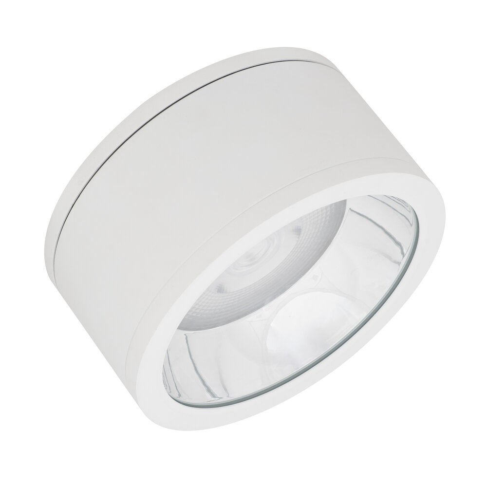 DOWNLIGHT SURFACE IP65 DN 250 P 45W 830 60D WT