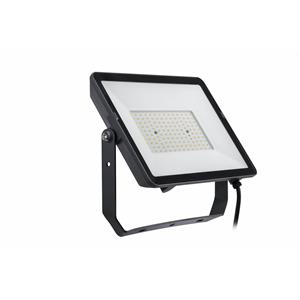 MZD BVP008 100W 6500K