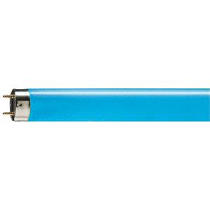 LAMP TL-D 36W/18 G13 AZUL