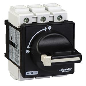 TeSys Vario - switch disconnector - 80 A - on door