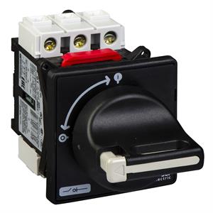 TeSys Vario - switch disconnector - 20 A - on door