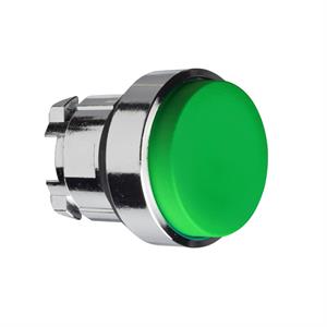Cabeça de botão verde saliente