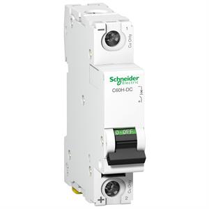 miniature circuit breaker - C60H - 1 pole - 2 A - C curve