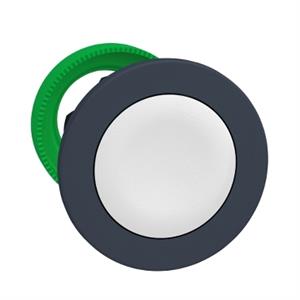 Botão flush da cabeça branca