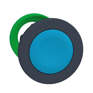 Boton flush azul cabeça