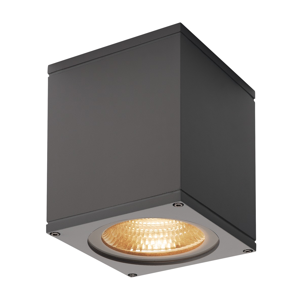 234525 BIG THEO, LED 3000K
