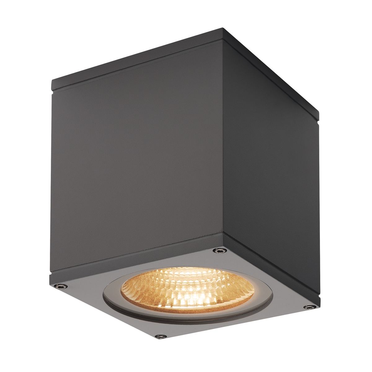 234535 BIG THEO LED 3000K