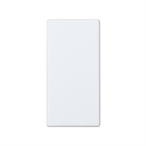 27800-34 PLACA CEGA